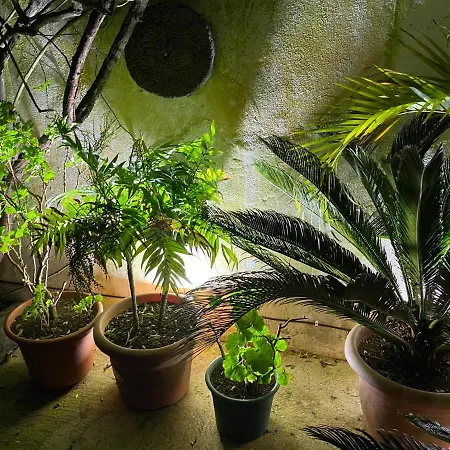 Casa De Santa Margarida *