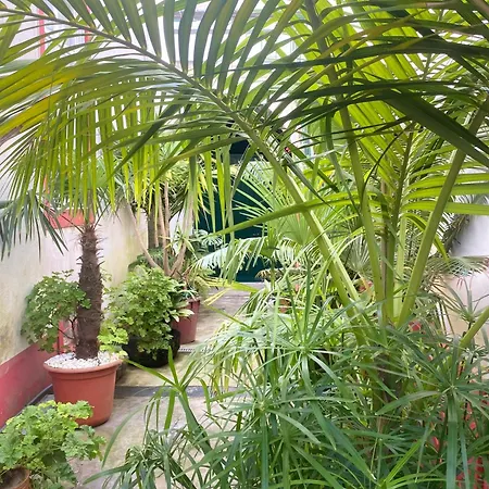 Casa De Santa Margarida 펜션