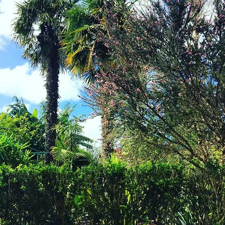 펜션 Casa De Santa Margarida Ponta Delgada