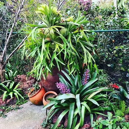 Casa De Santa Margarida *