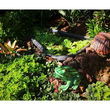 Casa De Santa Margarida *