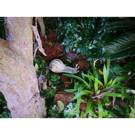 Σπίτι διακοπών Casa De Santa Margarida