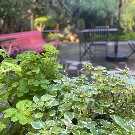 Prázdninový dům Casa De Santa Margarida *