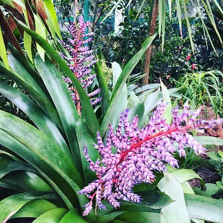Casa De Santa Margarida Ponta Delgada