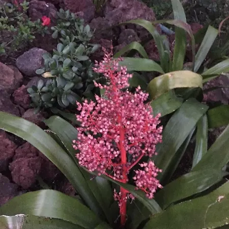 Prázdninový dům Casa De Santa Margarida *