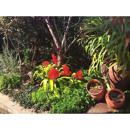 Casa De Santa Margarida