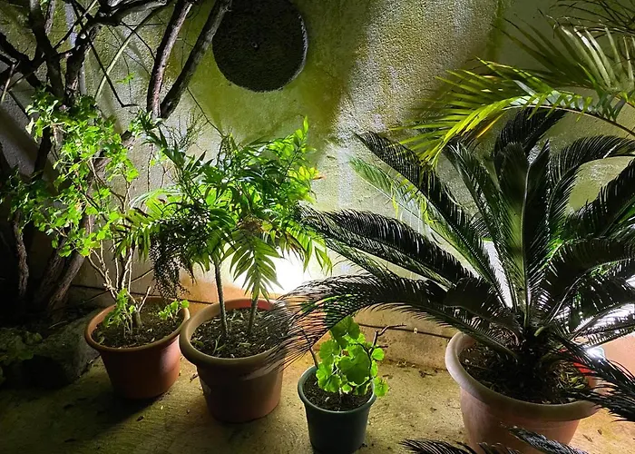 Casa De Santa Margarida *