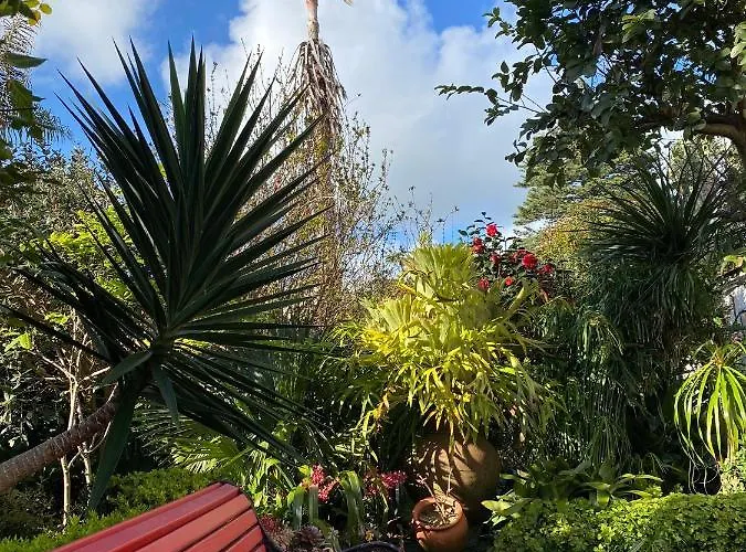 Casa De Santa Margarida Ponta Delgada