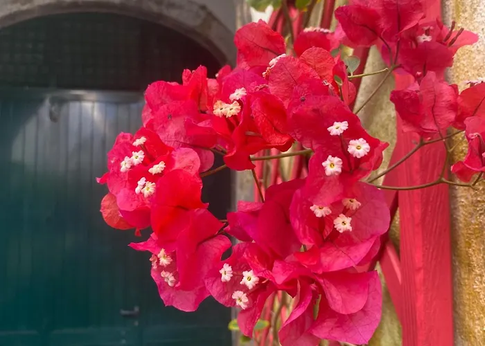 Casa De Santa Margarida *