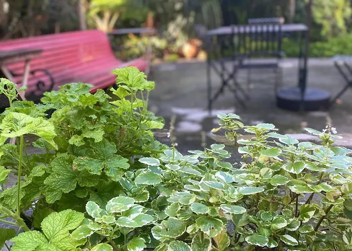 Ferienhaus Casa De Santa Margarida *