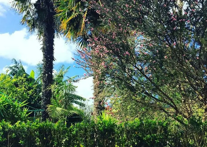 Prázdninový dům Casa De Santa Margarida Ponta Delgada