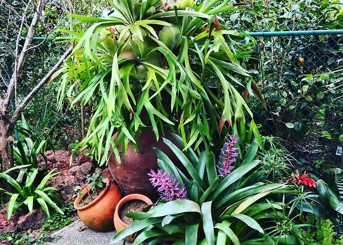 Casa De Santa Margarida *