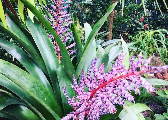 Casa De Santa Margarida Ponta Delgada