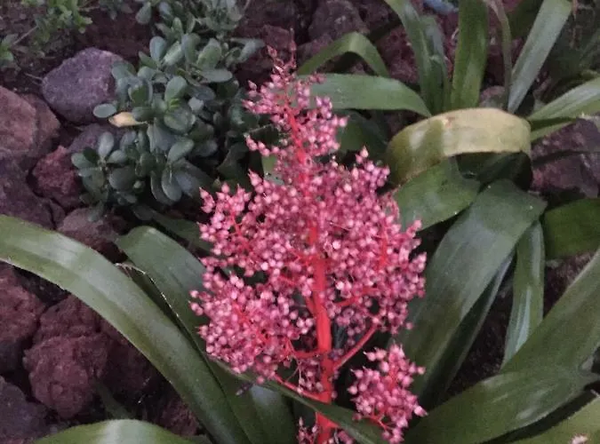 Prázdninový dům Casa De Santa Margarida *