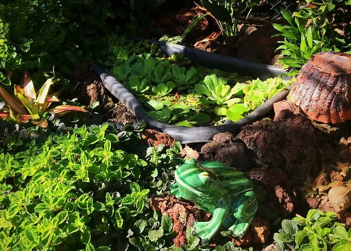 Casa De Santa Margarida *