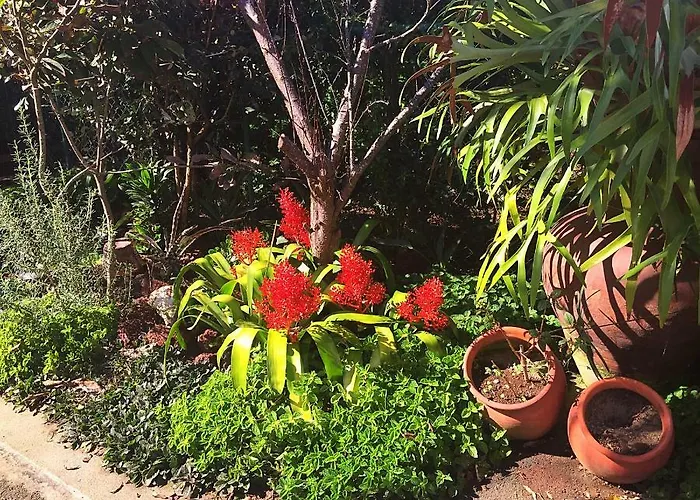 Casa De Santa Margarida