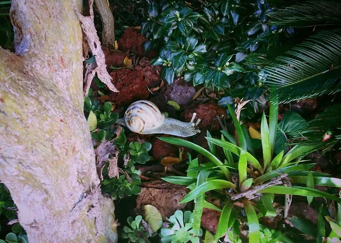 Prázdninový dům Casa De Santa Margarida